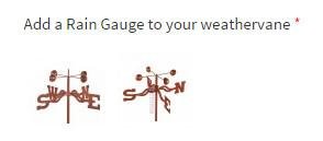 Rain Guage Rain Guage